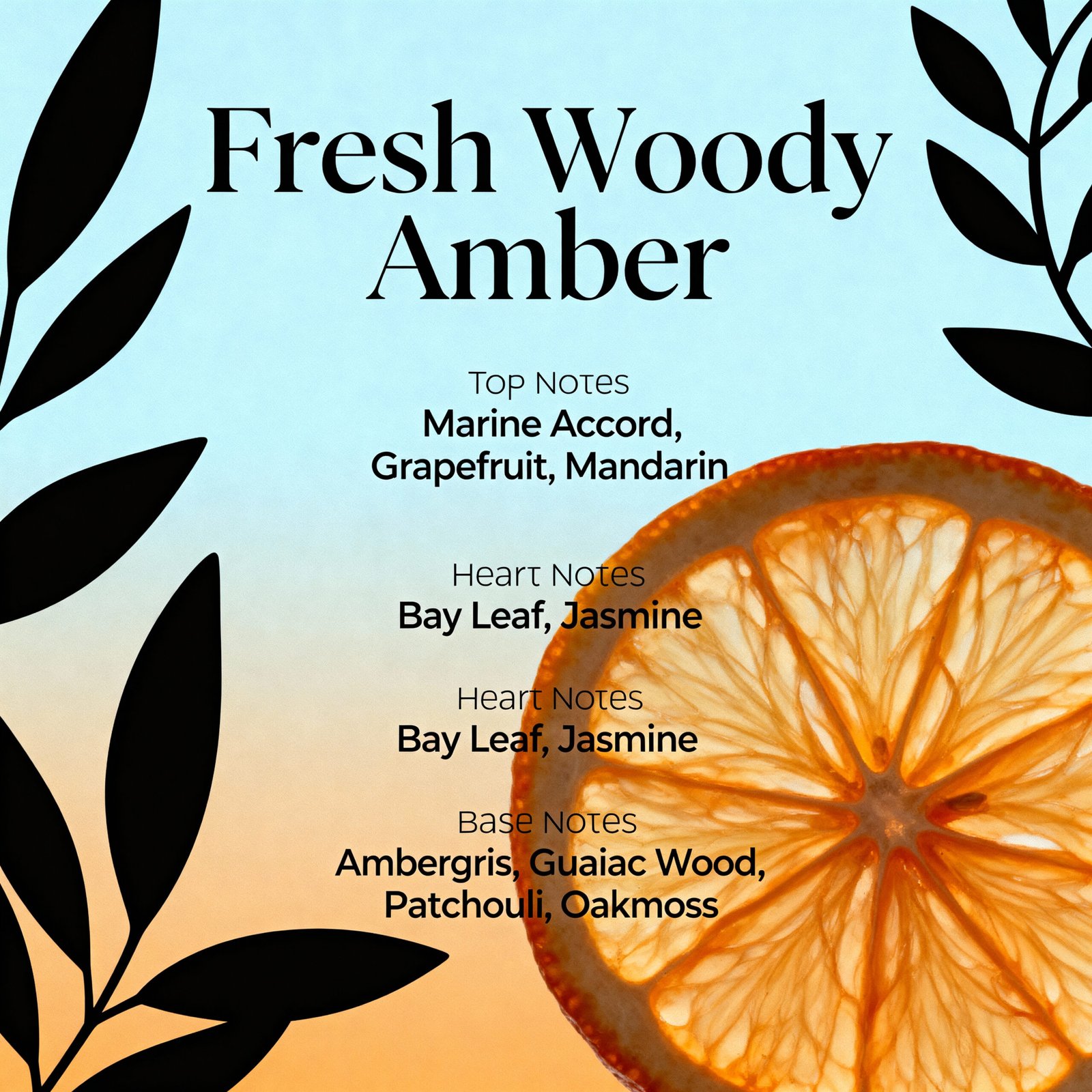 Kaptiv8 KALOS - Image 2