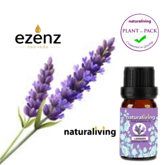 Lavender Essential Oil