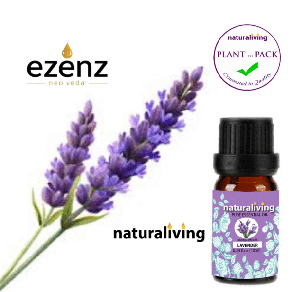 Lavender Essential Oil