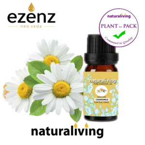 Chamomile Essential Oil