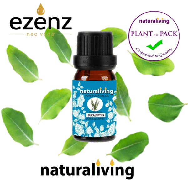 Eucalyptus Essential Oil