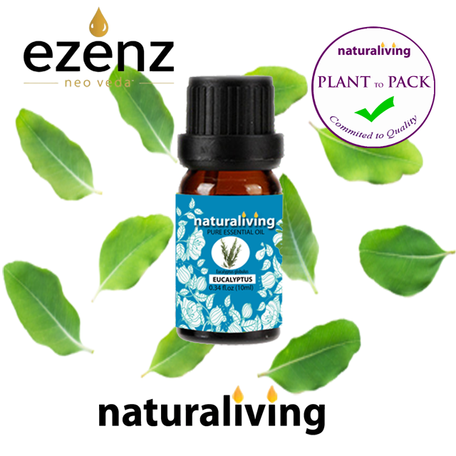 Eucalyptus Essential Oil